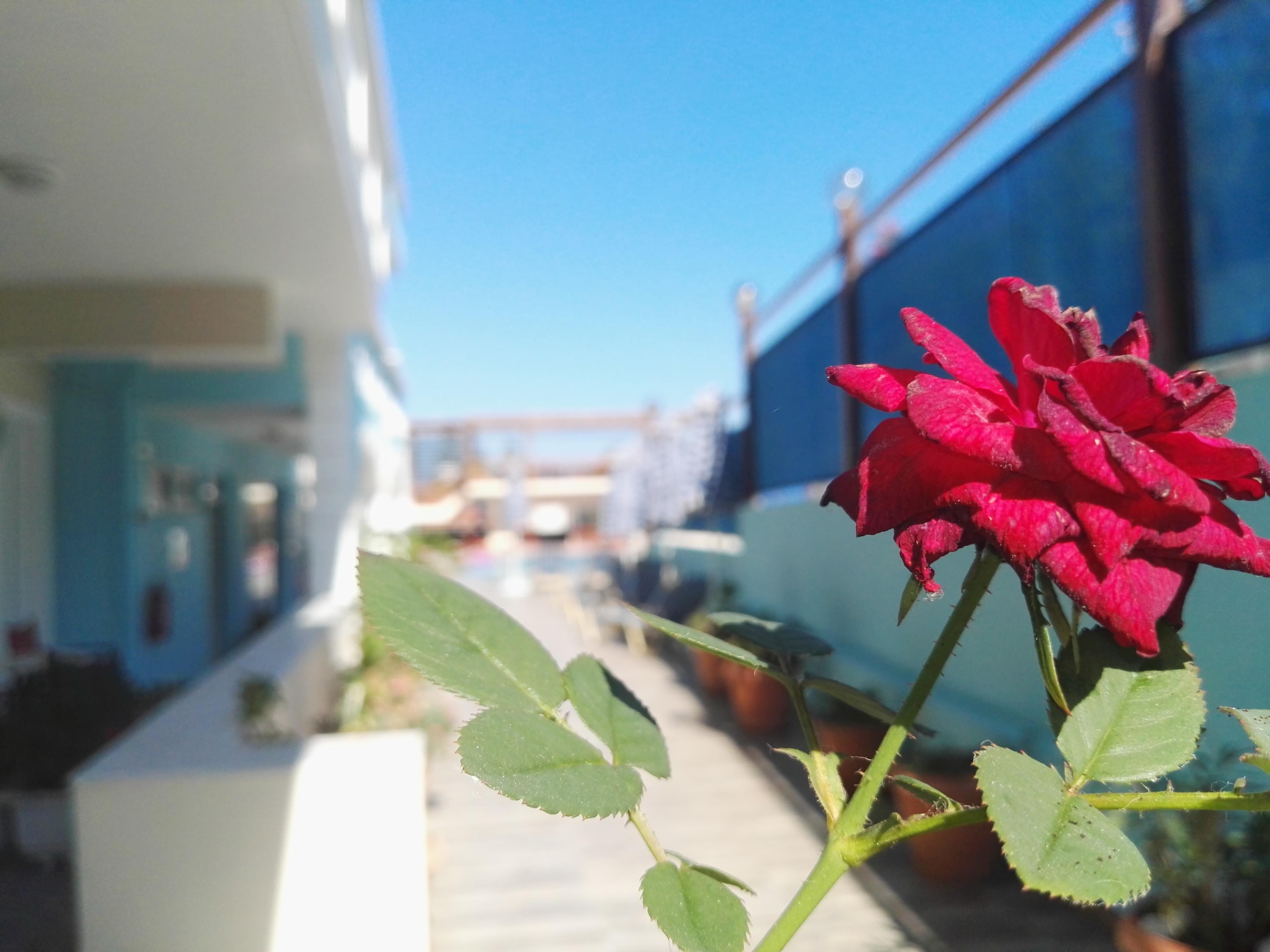 Epis Hotel Agia Marina エクステリア 写真